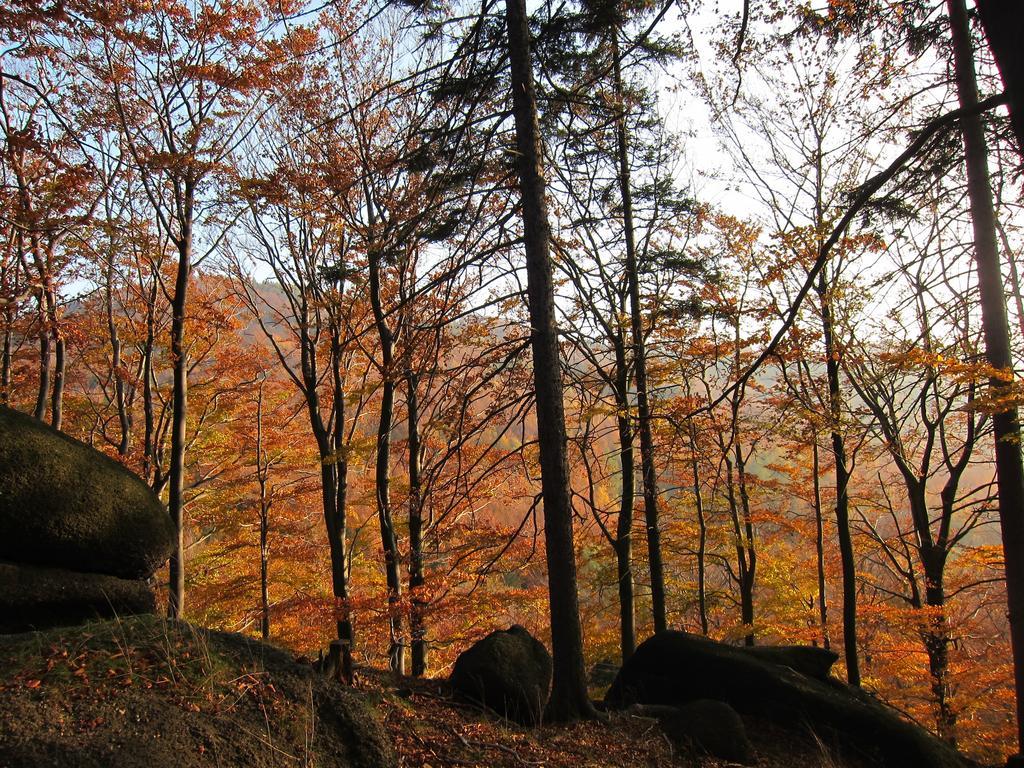 Penzion Bazalka Jablonec nad Nisou Exterior foto